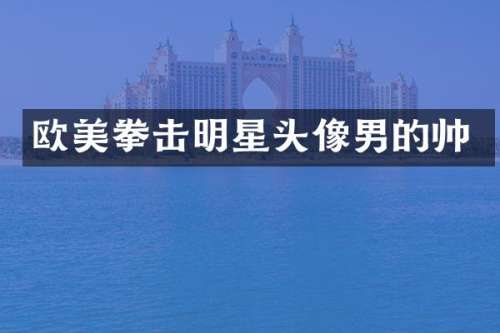 欧美拳击明星头像男的帅