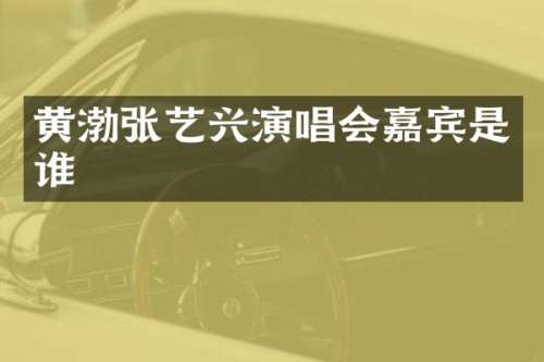 黄渤张艺兴演唱会嘉宾是谁