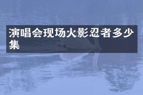 演唱会现场火影忍者多少集