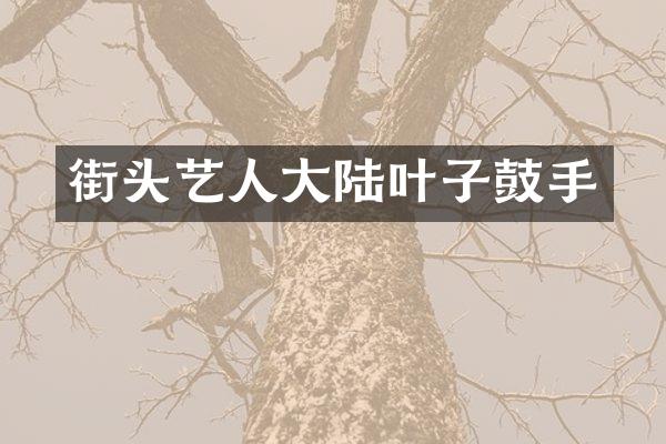 街头艺人大陆叶子鼓手