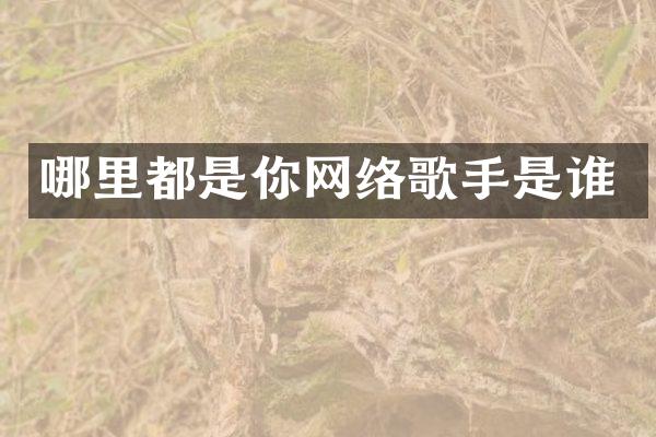 哪里都是你网络歌手是谁