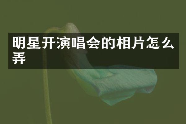 明星开演唱会的相片怎么弄