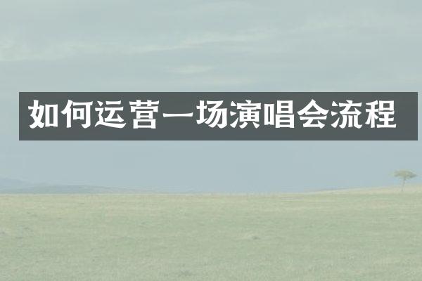 如何运营一场演唱会流程