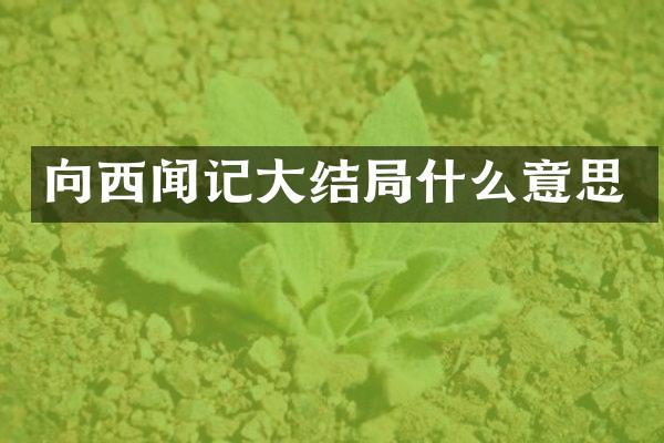 向西闻记大结局什么意思