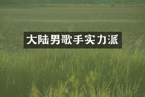 大陆男歌手实力派