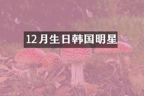 12月生日韩国明星