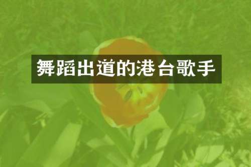 舞蹈出道的港台歌手