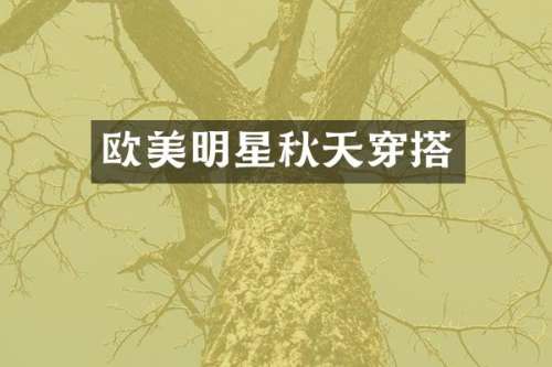 欧美明星秋天穿搭