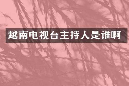 越南电视台主持人是谁啊