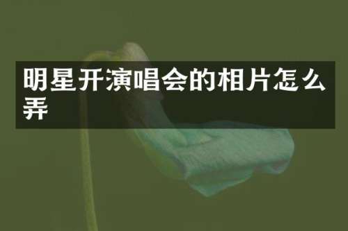 明星开演唱会的相片怎么弄