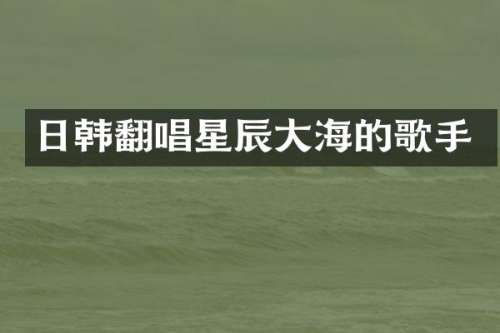 日韩翻唱星辰大海的歌手
