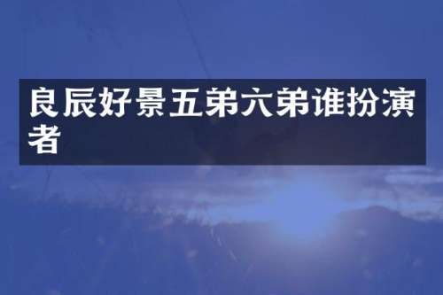 良辰好景五弟六弟谁扮演者
