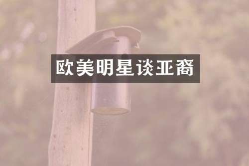 欧美明星谈亚裔