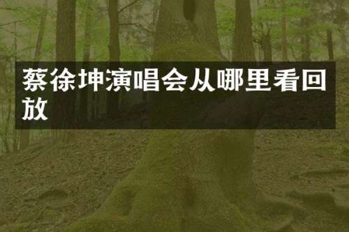 蔡徐坤演唱会从哪里看回放