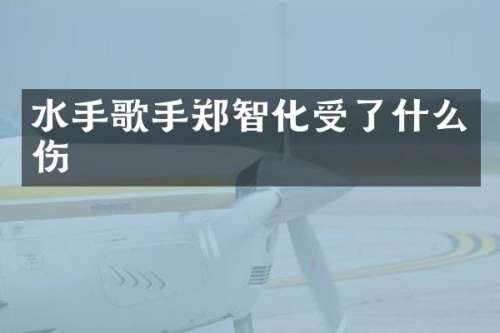 水手歌手郑智化受了什么伤