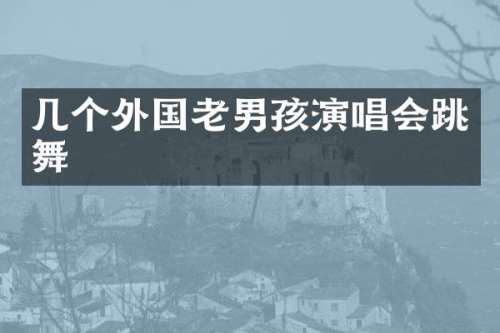 几个外国老男孩演唱会跳舞