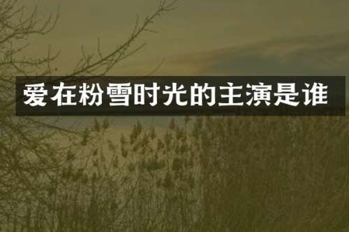 爱在粉雪时光的主演是谁