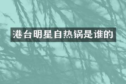 港台明星自热锅是谁的