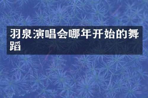 羽泉演唱会哪年开始的舞蹈