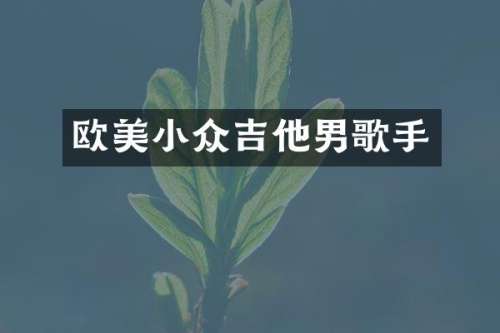欧美小众吉他男歌手