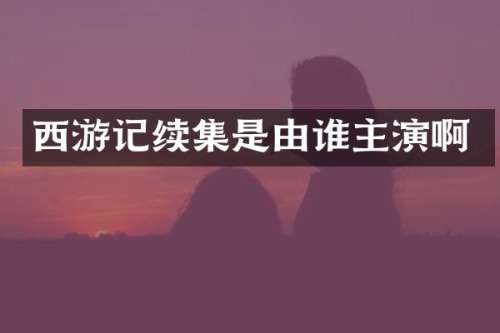 西游记续集是由谁主演啊