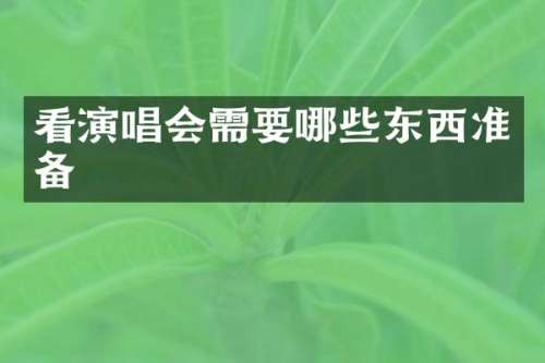 看演唱会需要哪些东西准备