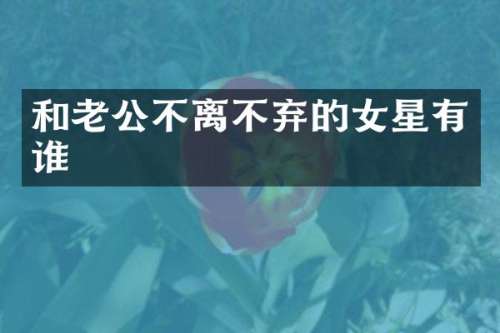 和老公不离不弃的女星有谁