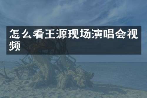 怎么看王源现场演唱会视频