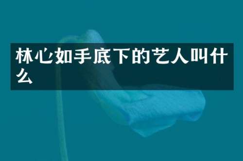 林心如手底下的艺人叫什么