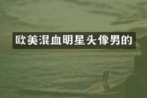 欧美混血明星头像男的