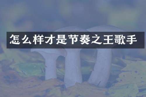 怎么样才是节奏之王歌手