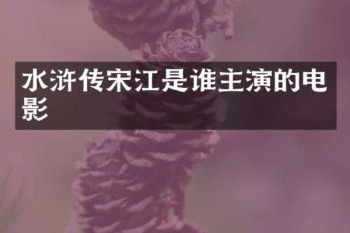水浒传宋江是谁主演的电影