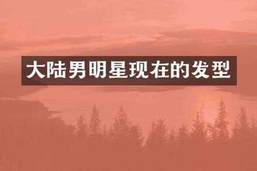 大陆男明星现在的发型