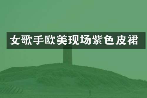 女歌手欧美现场紫色皮裙