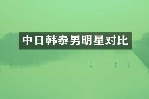 中日韩泰男明星对比