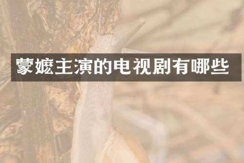 蒙嬷主演的电视剧有哪些