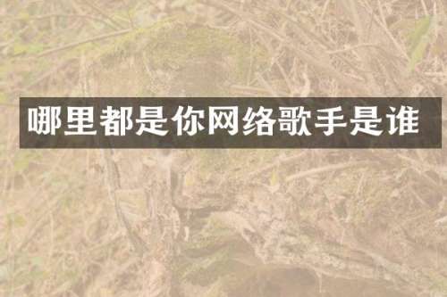 哪里都是你网络歌手是谁