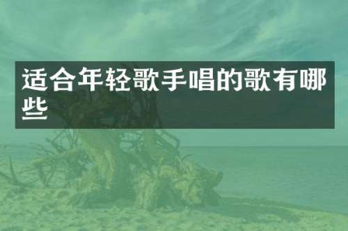 适合年轻歌手唱的歌有哪些