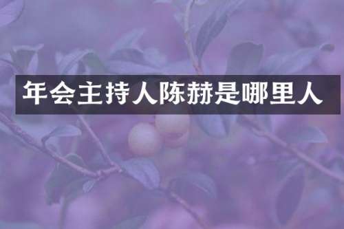 年会主持人陈赫是哪里人
