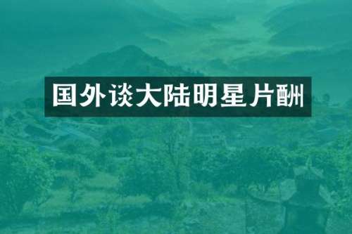 国外谈大陆明星片酬