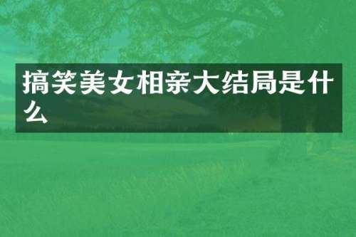 搞笑相亲大结局是什么