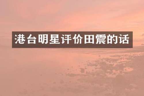 港台明星评价田震的话