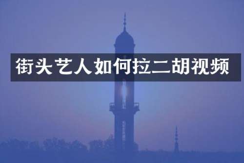 街头艺人如何拉二胡视频