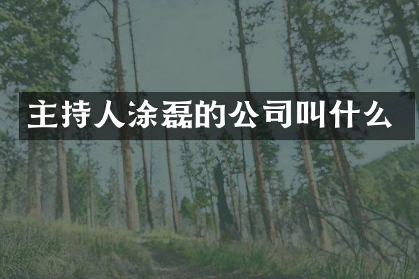 主持人涂磊的公司叫什么