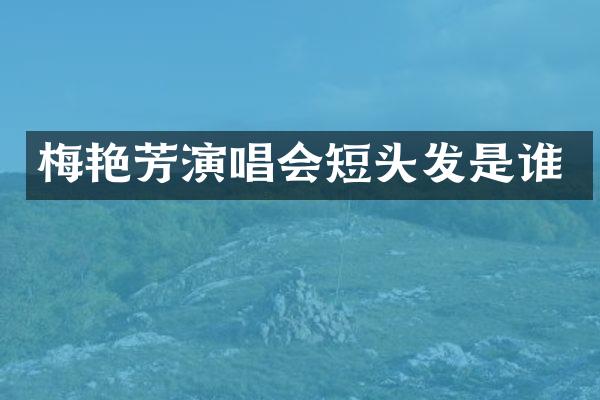 梅艳芳演唱会短头发是谁