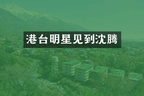 港台明星见到沈腾