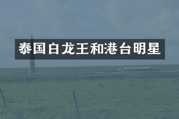 泰国白龙王和港台明星
