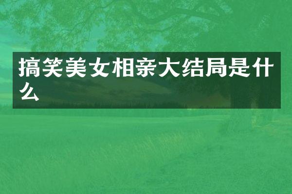 搞笑相亲大结局是什么