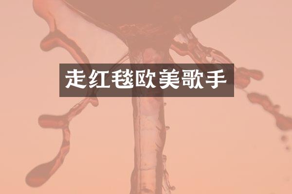 走红毯欧美歌手