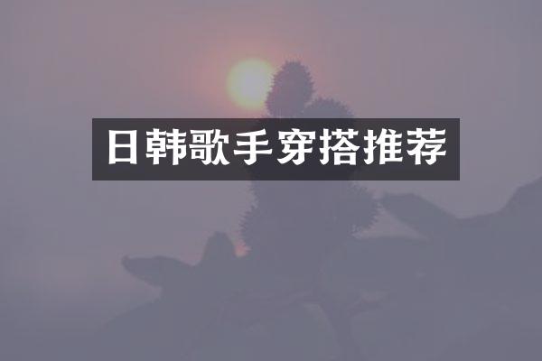 日韩歌手穿搭推荐